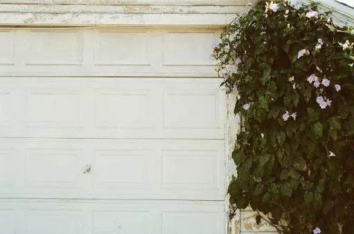 White Wooden Garage Door beside a plant